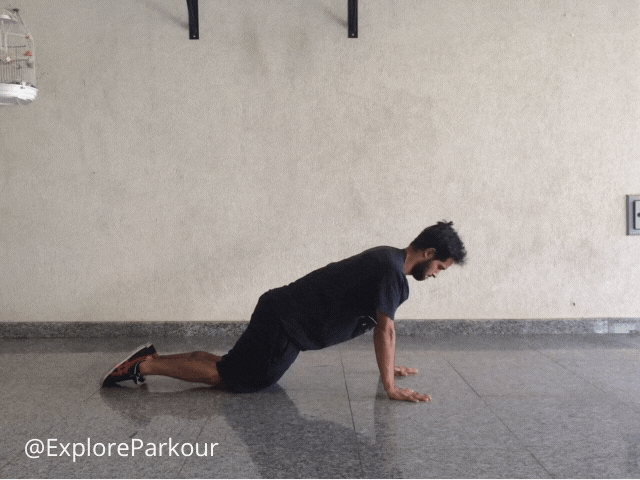 Push Up - Knee Support